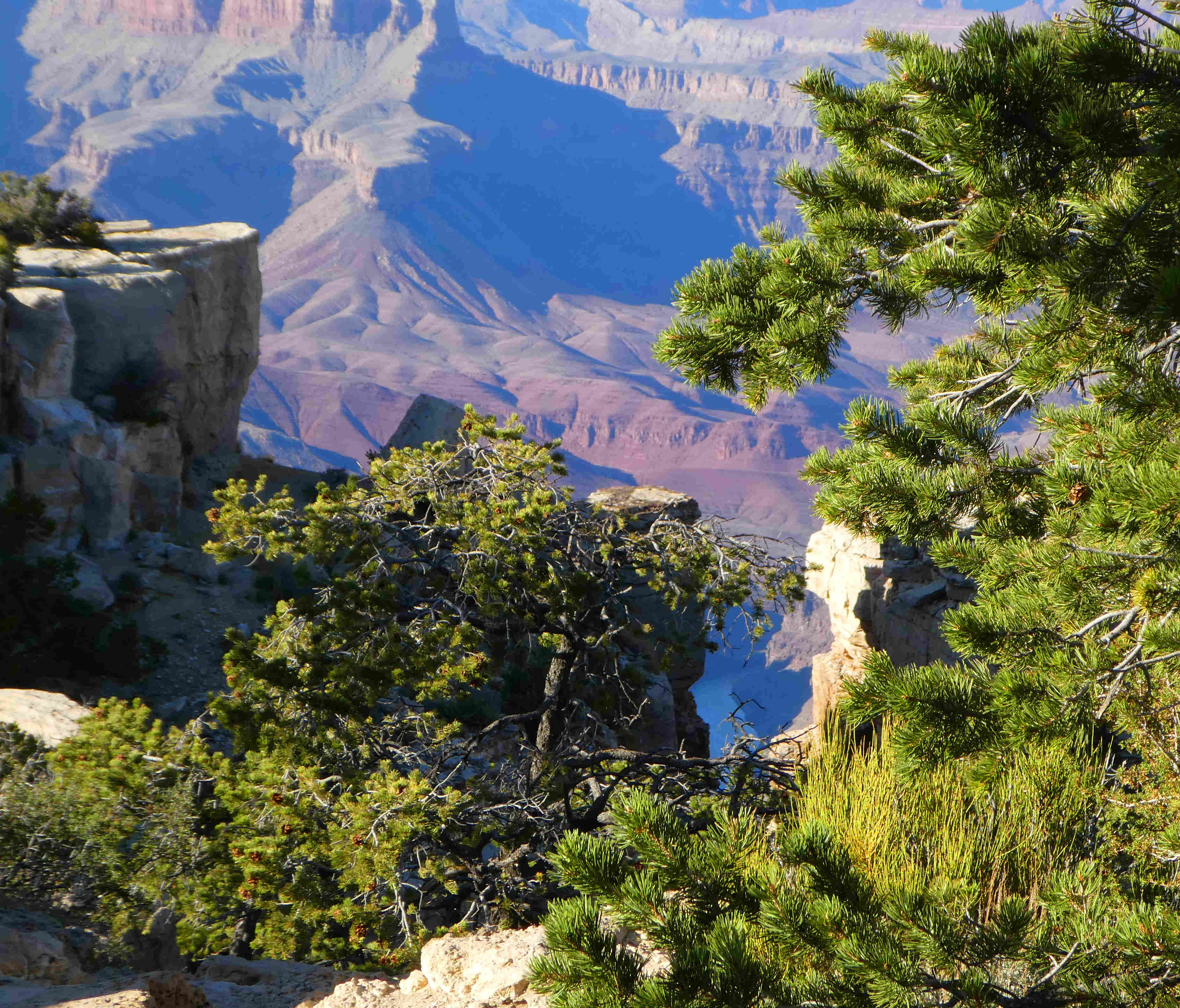 Grand Canyon Photograph by Patricia Candella